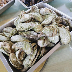 国产又大又粗又长扩展组件